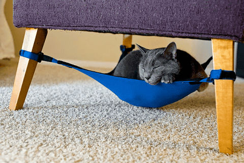お猫様専用、椅子の足に取り付けるハンモック「Cat Crib」 | Buzzap！