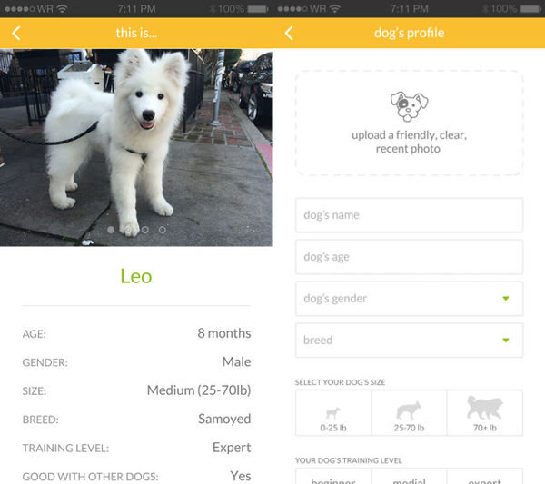 犬を飼っている人 と 犬を散歩させたい人 を繋ぐマッチングアプリが登場 Buzzap