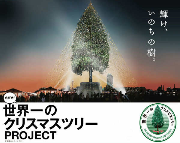 世界一のクリスマスツリー 神戸の生田神社にて変わり果てた姿が確認される Buzzap