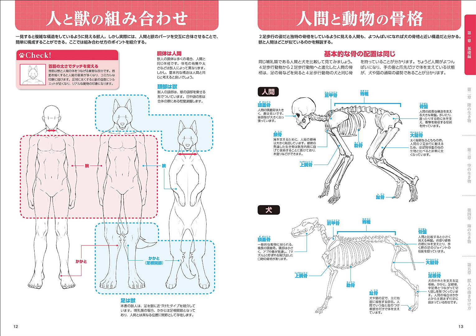 前代未聞のハウツー本 獣人の描き方 がamazonランキング上位に 太めのケモノやドラゴン 海洋生物までカバー Buzzap バザップ