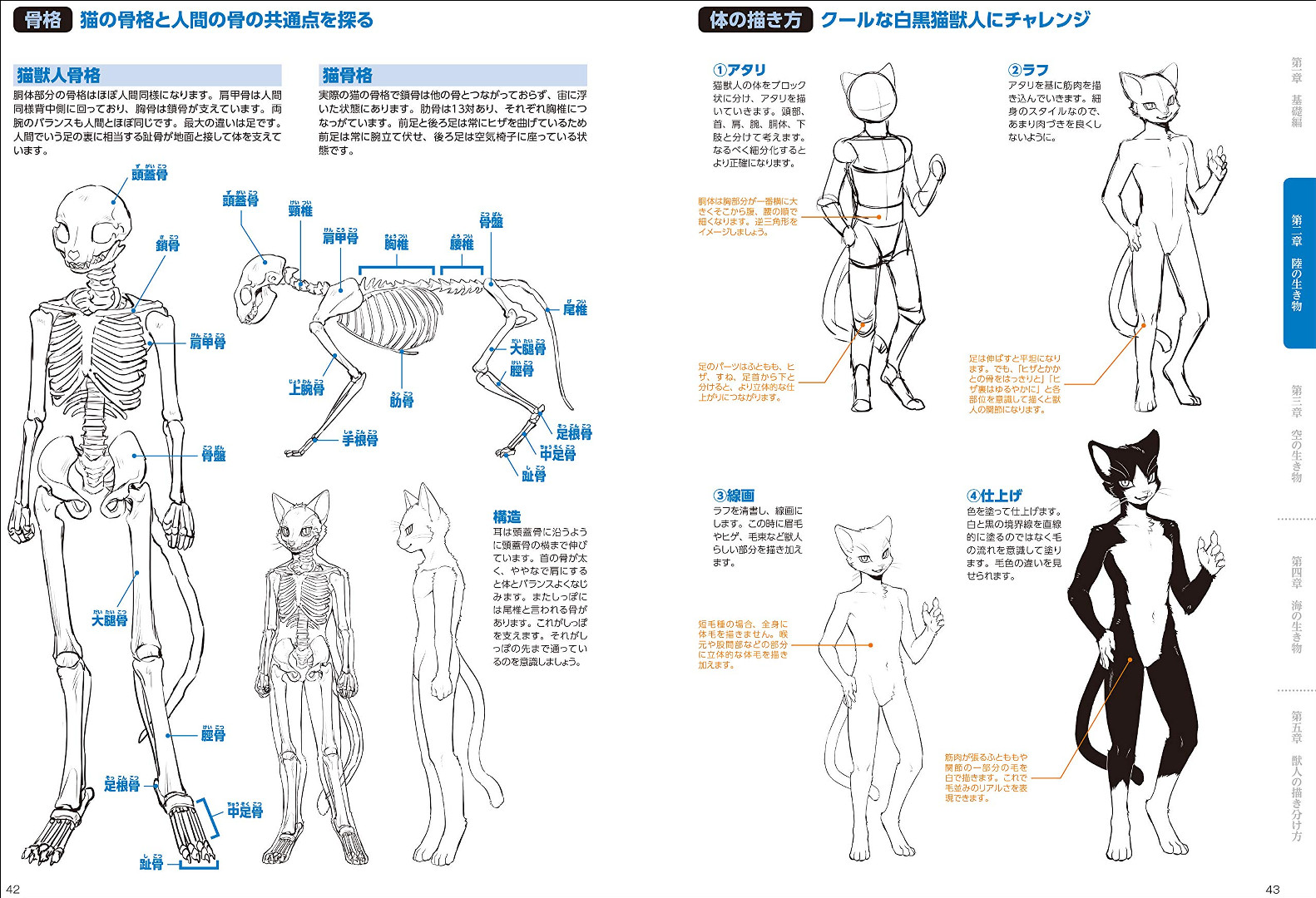 前代未聞のハウツー本 獣人の描き方 がamazonランキング上位に 太めのケモノやドラゴン 海洋生物までカバー Buzzap バザップ