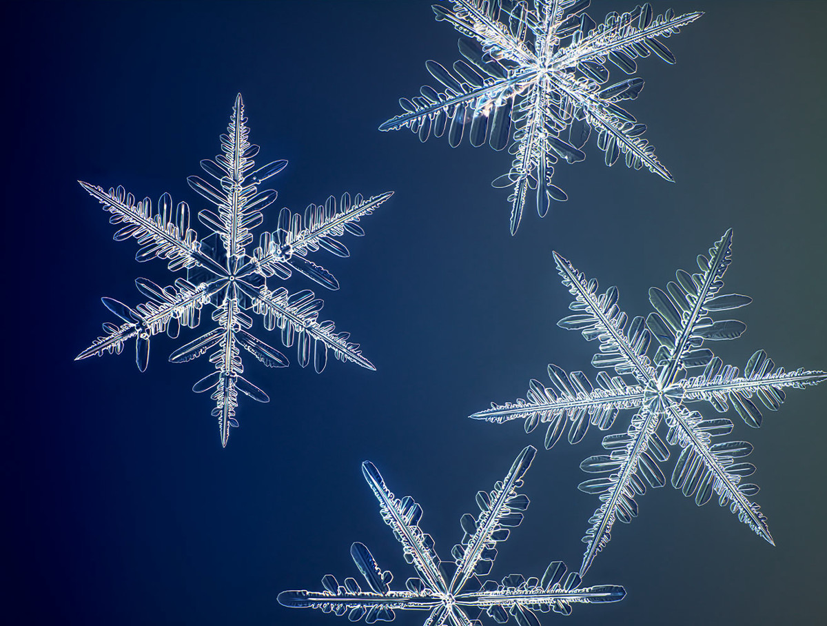 過去最高の1億画素で高解像度撮影された 雪の結晶 が異次元レベルの美しさ Buzzap