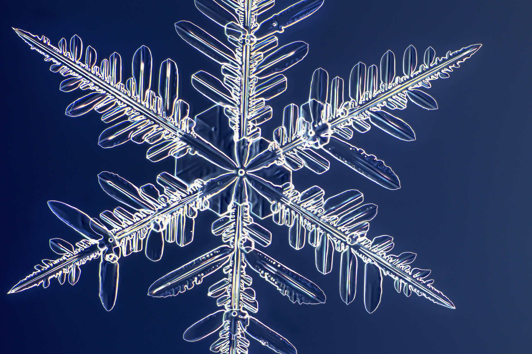 過去最高の1億画素で高解像度撮影された「雪の結晶」が異次元